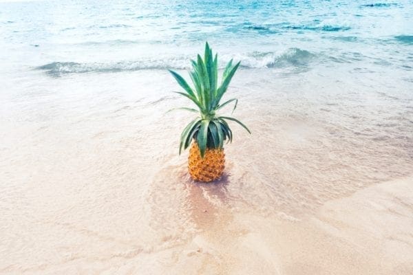 Hawaii The Original Fantasy Island  from North Carolina Lifestyle Blogger Adventures of Frugal Mom