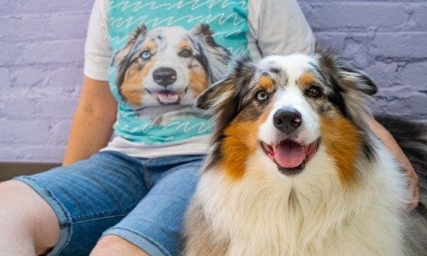 5 Things to Do With Your Pet’s Photo from North Carolina Lifestyle Blogger Adventures of Frugal Mom