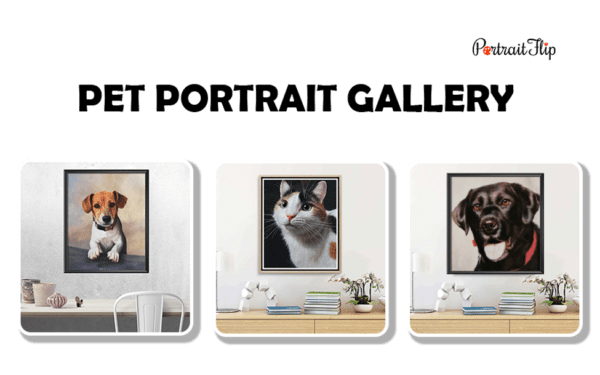 Do With Your Pet’s Photo from North Carolina Lifestyle Blogger Adventures of Frugal Mom