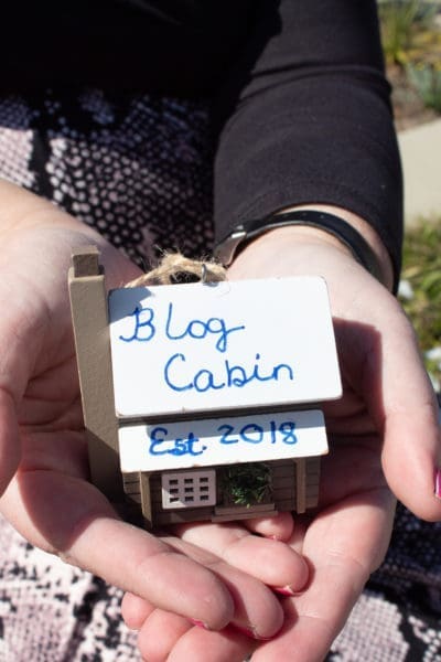 Feeling Fully Alive- Let it Go! from North Carolina Lifestyle Blogger Adventures of Frugal Mom 
