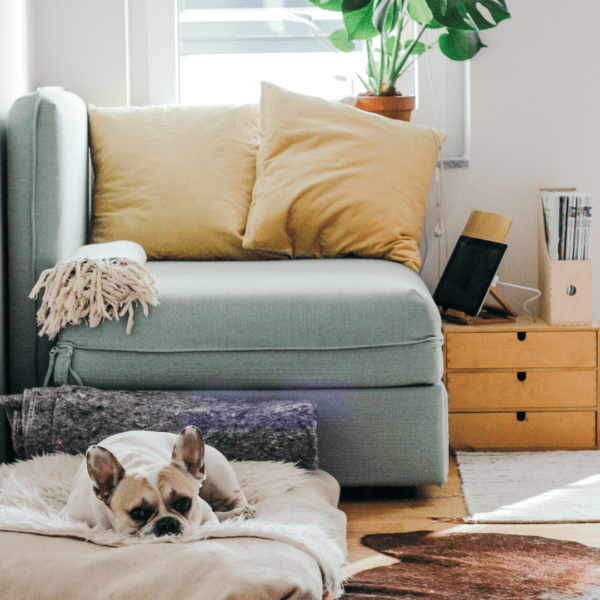 Ways to Upgrade Your Home from North Carolina Lifestyle Blogger Adventures of Frugal Mom
