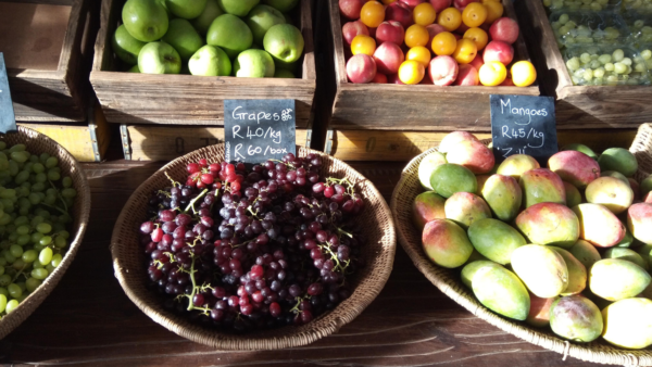 6 Things to Do in Mountain View California from North Carolina Lifestyle Blogger Adventures of Frugal Mom