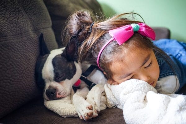 3 Reasons Why You Should Get Your Child an Emotional Support Dog from North Carolina Lifestyle Blogger Adventures of Frugal Mom