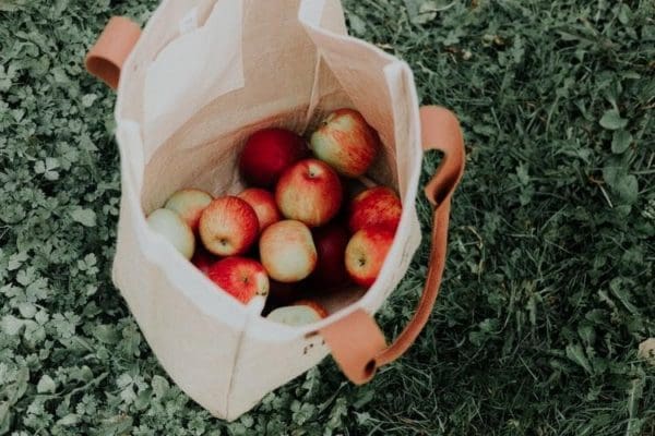 5 Undeniable Benefits of Reusable Grocery Shopping Bags from North Carolina Lifestyle Blogger Adventures of Frugal Mom