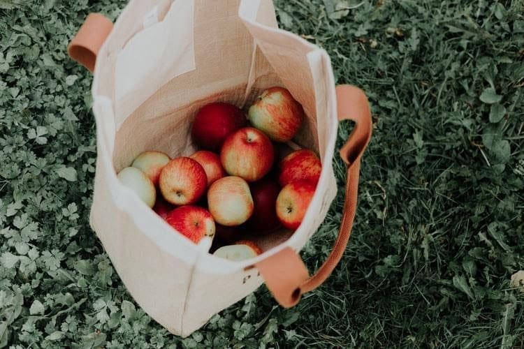 5 Undeniable Benefits of Reusable Grocery Shopping Bags