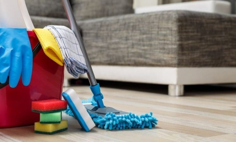 Effective Ways To Reduce Allergens in Your Home this Fall from North Carolina Lifestyle Blogger Adventures of Frugal Mom