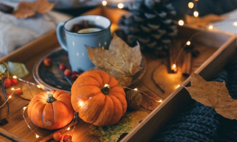 Seasons Change: Creative Ways To Get in the Fall Spirit from North Carolina Lifestyle Blogger Adventures of Frugal Mom