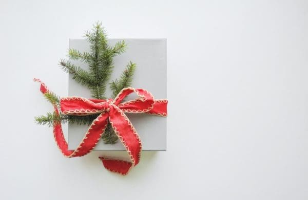 2020 Gift Guide The Perfect Gift for Everyone On Your List from North Carolina Lifestyle blogger Adventures of Frugal Mom