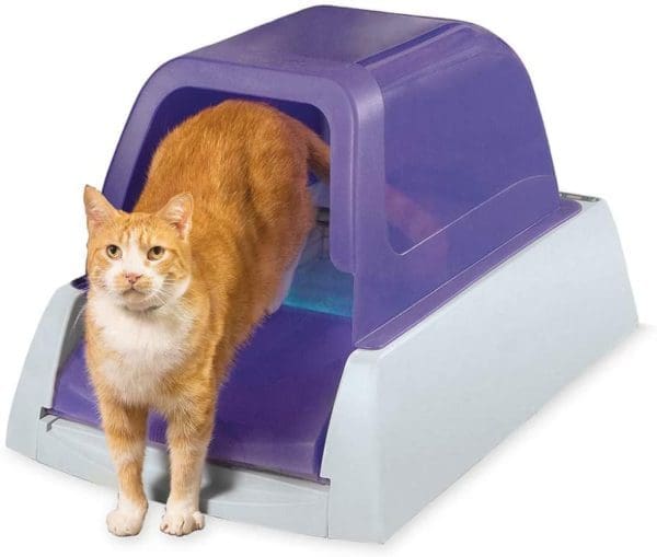 Will An Automatic Litter Box Save You Money from North Carolina Lifestyle Blogger Adventures of Frugal Mom