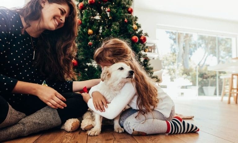 Tips for Gifting a Puppy for Christmas