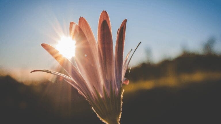 3 Ways to Stay Hopeful During Uncertain Times from North Carolina Lifestyle Blogger Adventures of Frugal Mom