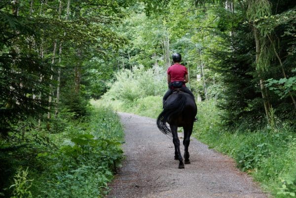 Riding Clothes Provide Comfort, Security and Style on Horseback from North Carolina Lifestyle Blogger Adventures of Frugal Mom