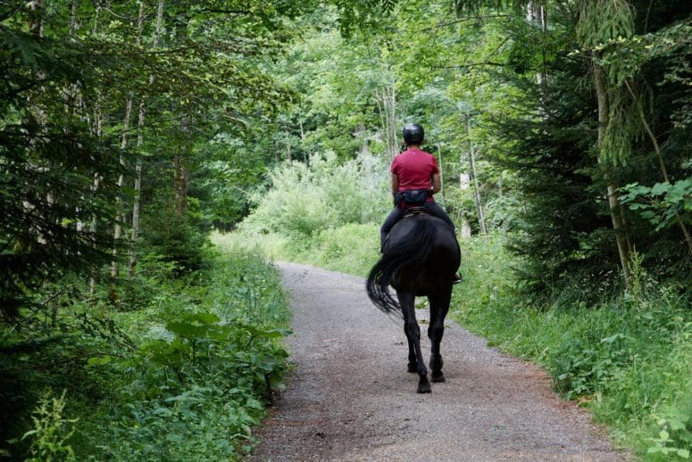 Riding Clothes Provide Comfort, Security, and Style on Horseback
