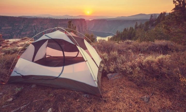 3 Reasons To Take Your First Camping Trip This Summer