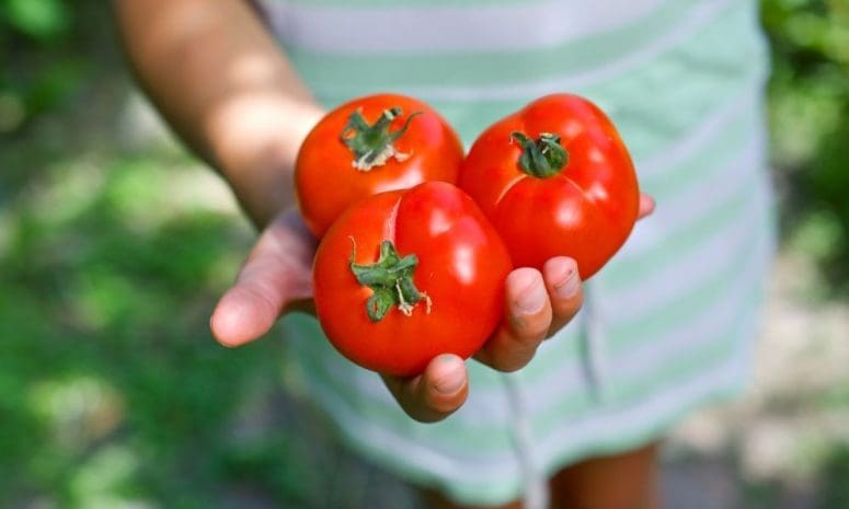 5 Vegetables You Should Grow With Your Kids