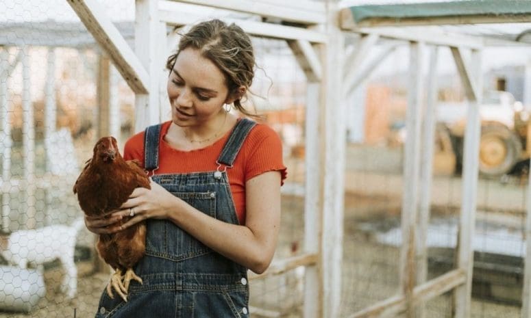 3 Odd but Awesome Pets for a Young Family