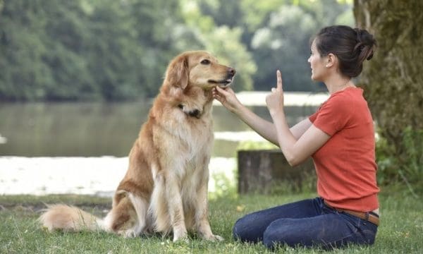 The 3 Best Ways To Stop Your Dog From Jumping