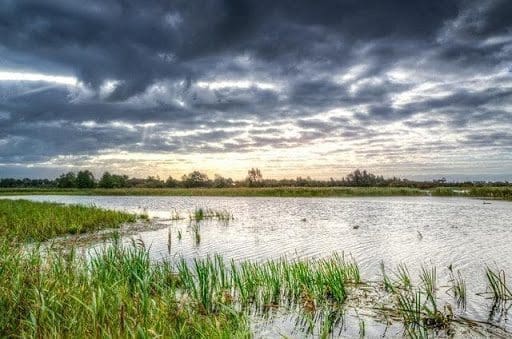 Summer Fun in Louisiana’s Northshore