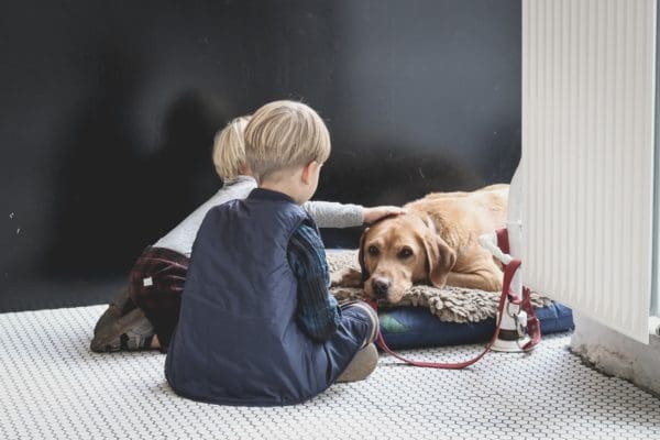 Techniques To Help Your Children Overcome Their Fear Of Dogs from North Carolina Lifestyle Blogger Adventures of Frugal Mom