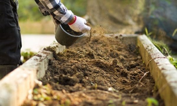 The Most Innovative Ways To Use Compost