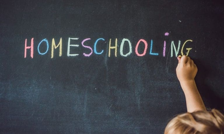 The 5 Best Types of Schools for Your Child