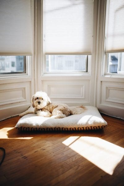 Types of Window Treatments from North Carolina Lifestyle Blogger Adventures of Frugal Mom