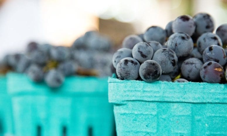 How To Make Your Farmer's Market Stand More Visually Appealing