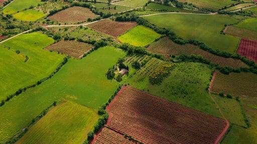 11 Money Making Ideas For Your Spare Land from North Carolina Lifestyle Blogger Adventures of Frugal Mom