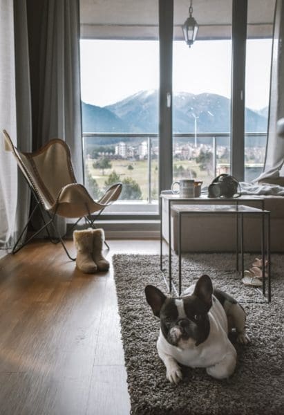 How You Can Thrift and Use Coupons to Buy Unique Area Rugs for Your Living Room's Design