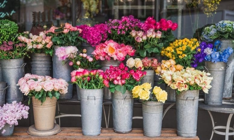Unique Floral Combinations and What They Mean