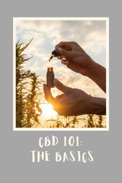 CBD 101 The Basics