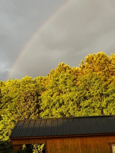 rainbow over blog cabin