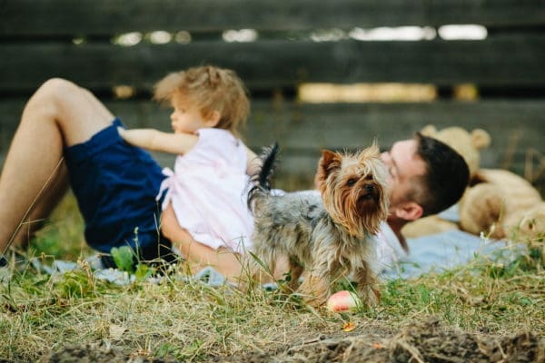 Celebrate Being a Dog Dad This Father's Day