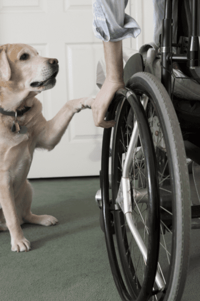 5 Ways to Help Your Loved One With a Spinal Cord Injury