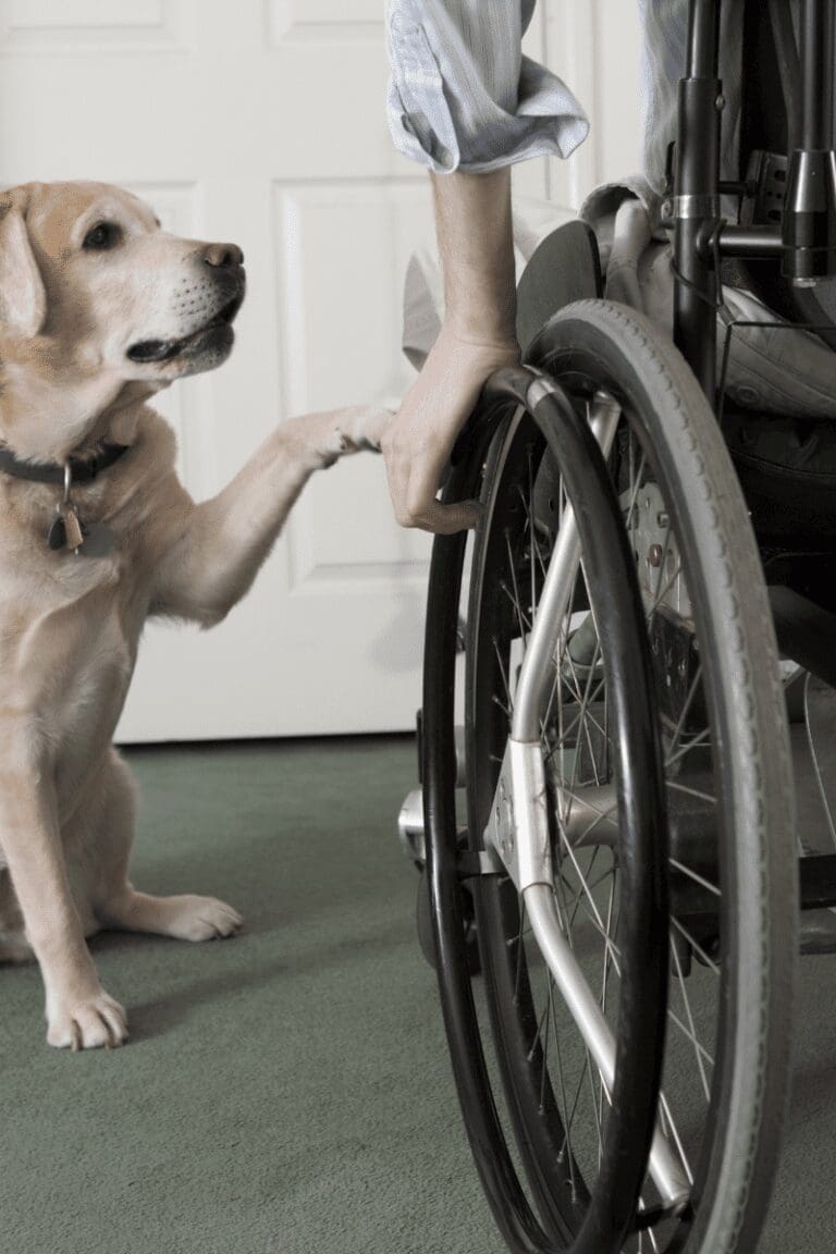 5 Ways to Help Your Loved One With a Spinal Cord Injury