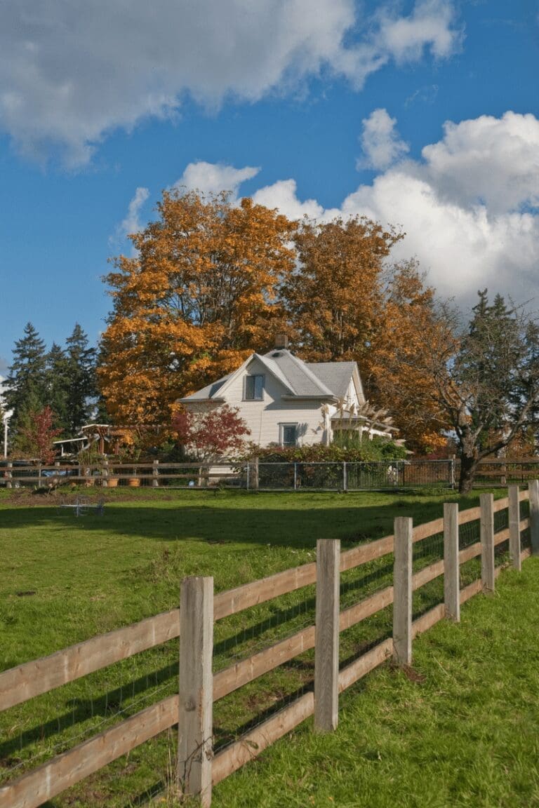 Cool Features to Consider When Building Your Dream Home