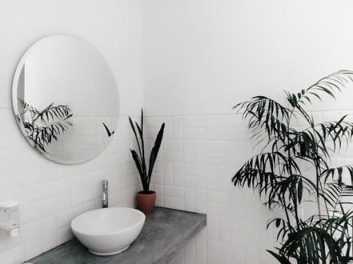 What Are the Most Popular Bathroom Remodeling Trends