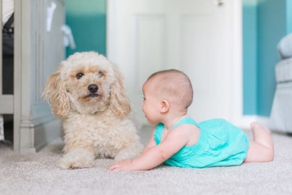 How to Keep Your Carpets Clean as a Busy Mom