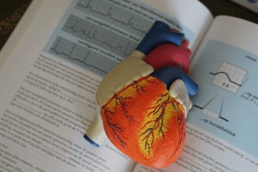 The Easiest Ways To Approach Cardiac Health And Heart Failure Prevention