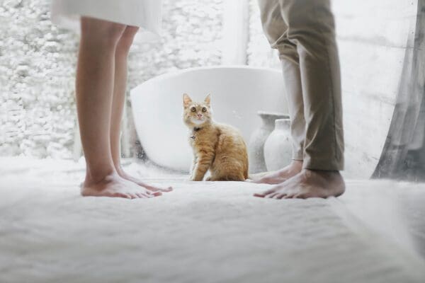 Tips for Downsizing After Divorce