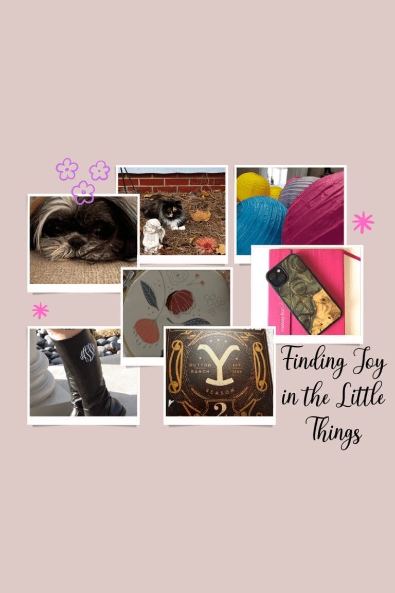 Finding Joy in the Little Things