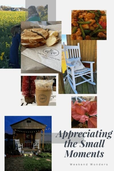 Appreciating the Small Moments