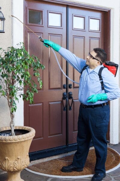 Professional pest control has many benefits