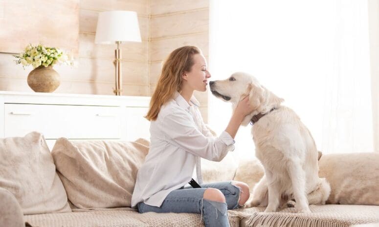 Lethargic Pups: Reasons Your Dog Has Low Energy Levels