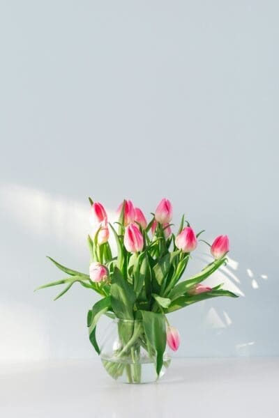 Simple Hack Will Make Your Tulips Stand Up Straight