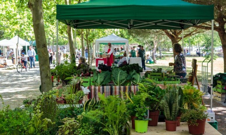 Exciting Ways To Give Back to the Planet