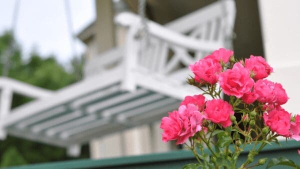 When Mother's Day Goes Wrong - The Disastrous Experience with Lowe's