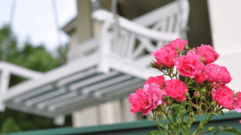 When Mother's Day Goes Wrong - The Disastrous Experience with Lowes