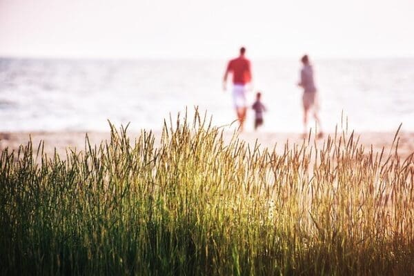 5 Tips for Planning a Family Vacation on a Budget