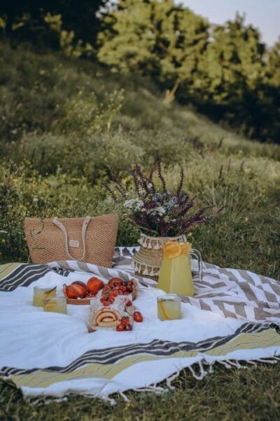 Tips for Organizing the Perfect Picnic: Creating Memorable Outdoor Gatherings